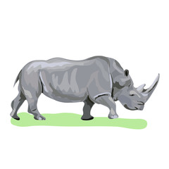 rhinoceros