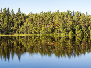 Fototapeta na wymiar coast of forest lake