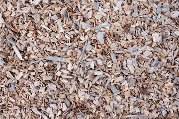 Bark wood chips background