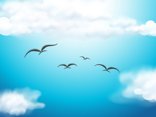 Birds flying in the blue sky