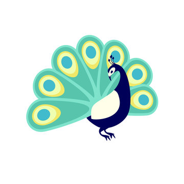 Peacock. Flat vector illustration