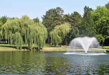 Fountain in the lake in the middle of a woods
