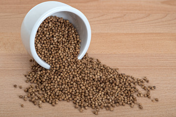 Organic Coriander Seeds in White bowl