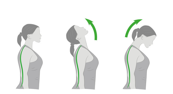 exercises for the neck and head. vector illustration.
