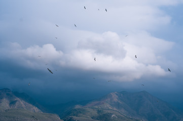 Fototapeta premium mountain view on a cloudy day