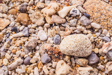Dead coral flower shape, at Kalim bay, Phuket, Thailand