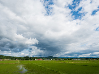 Fototapeta premium Blue sky and cloud in countryside