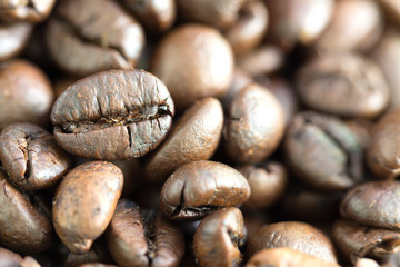 Seeds of coffee in the pile / Blurred and Select focus specifically spot image

