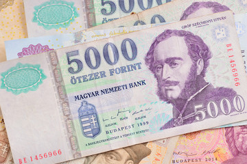 Forint. Hungarian currency. - obrazy, fototapety, plakaty