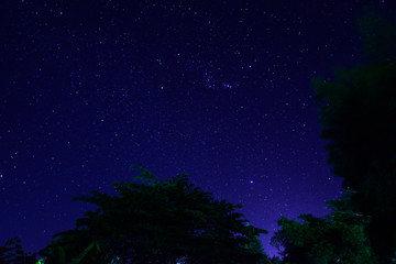 Naklejka premium The night sky with stars