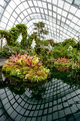 Fototapeta na wymiar Indoor Botanic Gardens