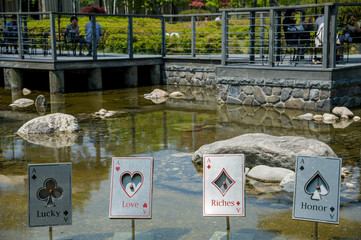 cards in the pond
