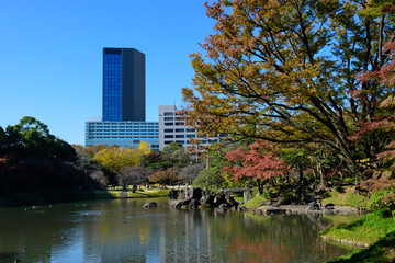 東京　小石川　秋の小石川後楽園