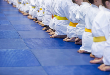 Group of children in kimono sitting in a long line on martial arts training seminar