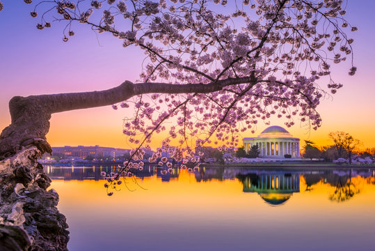 Jefferson Memorial in Spring