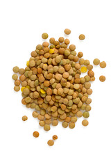 lentils isolated on white