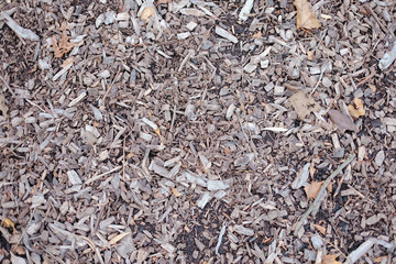 Fototapeta premium Bark wood chips background