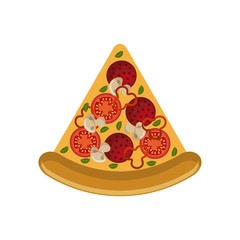 pizza icon over white background. colorful concept. fast food design. vector illustration