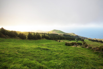 Fototapeta na wymiar Azoren - Naturparadies im Atlantik