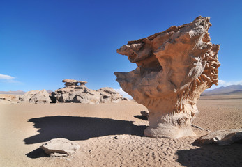 Árbol de Piedra ("stone tree") an rock formation in Bolivian Altiplano desert



