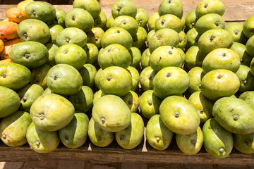 beautiful mango fruits at a market in northwest Madagascar