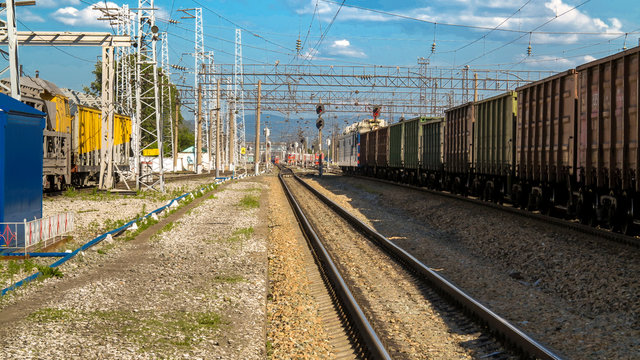 freight cars at the station on a summer day
