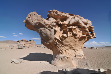 Árbol de Piedra ("stone tree") an rock formation in Bolivian Altiplano desert
