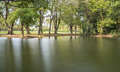 Beautiful moment in park