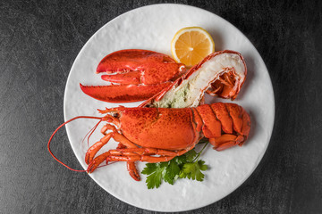 高級ロブスター　 High-quality lobster