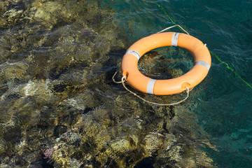 lifeline in the red sea near coral reef