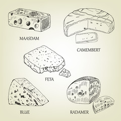 Realistic graphic cheese collection. Vector illustration include maasdam, camembert, feta, blue and radamer. Curd sketch used for advertising dairy product, restaurant menu or logo design.