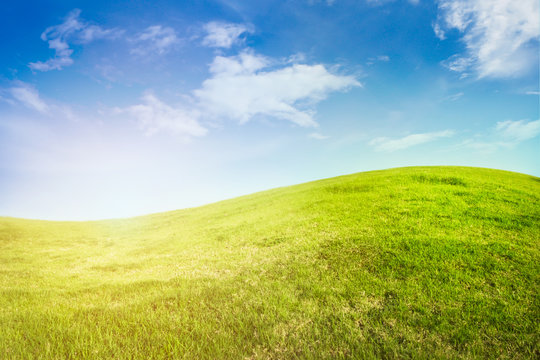 Background of Curve Grassland on Blue Sky With Sunlight.