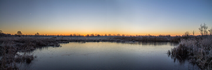 Fototapeta premium Over veen landschap