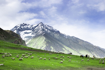The Valley Of Kashmir. Sonmarg