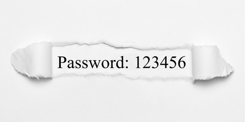 Password; 123456 on white torn paper