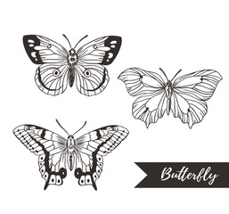 Obraz na płótnie Canvas Hand drawn butterfly logo design collection. Vector elements isolated on the white background.