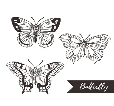 Hand drawn butterfly logo design collection. Vector elements isolated on the white  background.