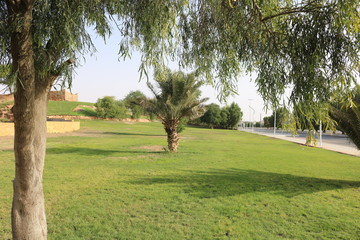 Gardens and parks suitable for filming session or background to video