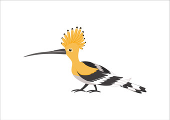 Hoopoe isolated on white background. Exotic bird. Vector illustration