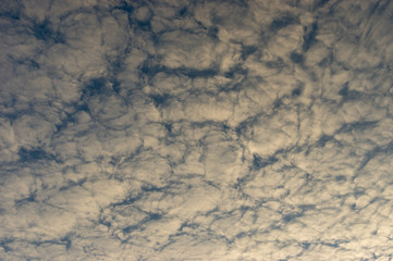 Fototapeta premium Beautiful blue sky with fluffy white clouds at autumnal evening