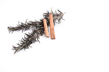 sprig of rosemary and two cinnamon sticks