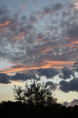 Cloudy evening sky