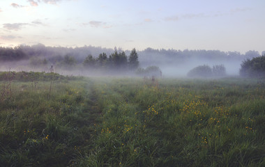 Obraz na płótnie Canvas Foggy summer morning