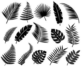 Poster Set of tropical leaves. Vector © VKA