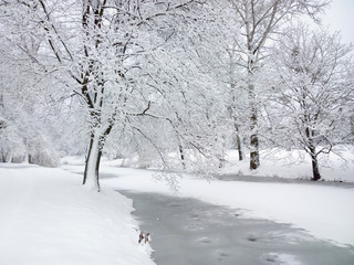 Park in winter.