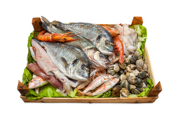 Box of fresh fish on white background.