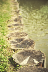 Decor fence from logs