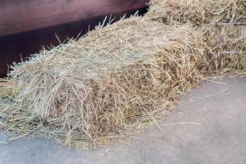 a pile of straw on field, straw bales after harvest.