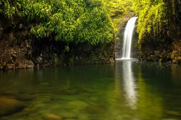 Foto op Plexiglas Wainibau Waterfall at the end of Lavena Coastal Walk on Taveuni © donyanedomam