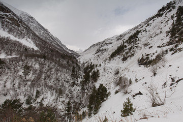 winter mountain landscape with pine and birch forest.